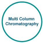 Multi Column Chromatography